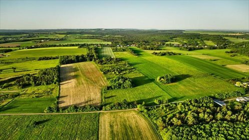 działka na sprzedaż 800m2 działka Kiełkowice, Działki w sercu Jury Krakowsko-Częstochowskiej – blisko natury, starowiejska