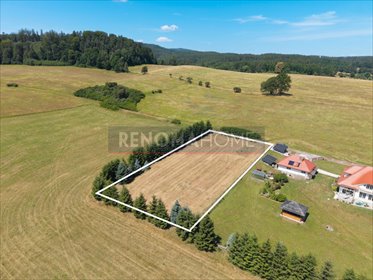 działka na sprzedaż 2535m2 działka Wolany