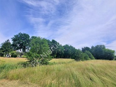 Działka budowlana na sprzedaż Zalesie 5 000m2 Foto 4