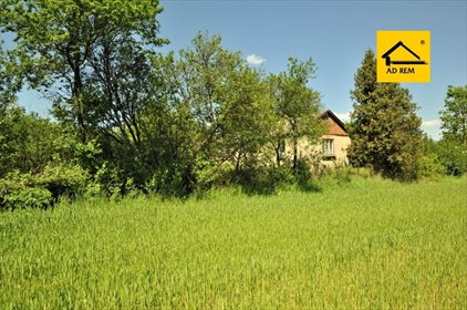 działka na sprzedaż 3600m2 działka Rudka Kozłowiecka, Rudka Kozłowiecka