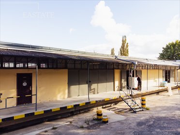 lokal użytkowy na wynajem 338m2 lokal użytkowy Sopot, Aleja Niepodległości