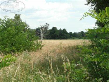 Działka budowlana na sprzedaż Podbolesławiec 3 660m2 Foto 5