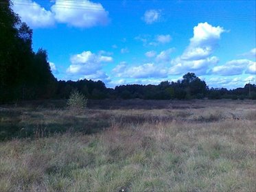 Zapraszam do zakupu działki 9 229 m² z dostępem do drogi w Nowej Wsi Wielkiej działka Nowa Wieś Wielka