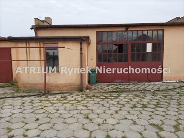 Magazyn na sprzedaż Krężna 460m2 Foto 3