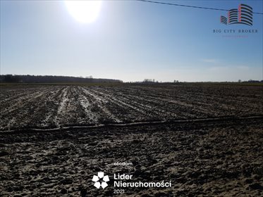 Działka budowlana na sprzedaż Sporniak 3 600m2 Foto 3