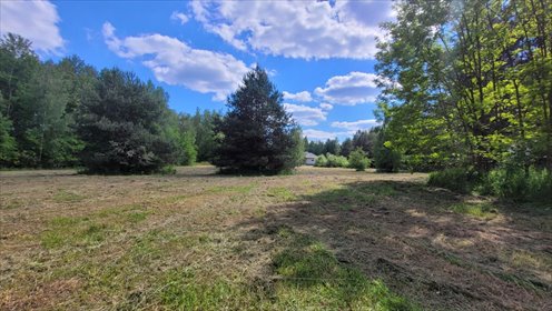 działka na sprzedaż 3002m2 działka Piotrkowice, Trzech Muszkieterów