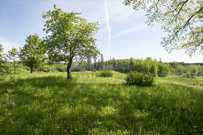 Działka siedliskowa na sprzedaż Golubie Wężewskie 196 300m2 Foto 7