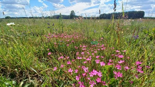 działka na sprzedaż 3300m2 działka Chraboły