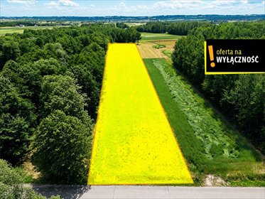 Działka 6 017 m² z domem i ogrodem w Łagowie działka Płucki