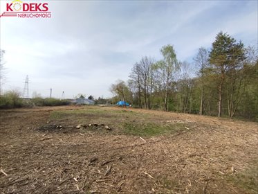 działka na sprzedaż 9775m2 działka Skrzeszew