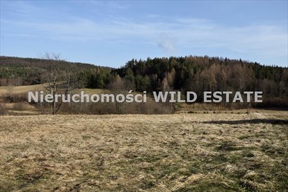 działka na sprzedaż 1501m2 działka Solina, Bereżnica Wyżna