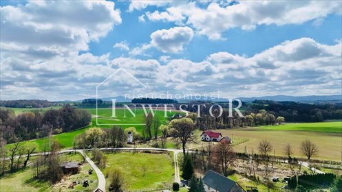 działka na sprzedaż 4000m2 działka Biskupów