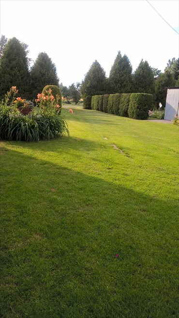 Dom na sprzedaż Olimpów 141m2 Foto 3