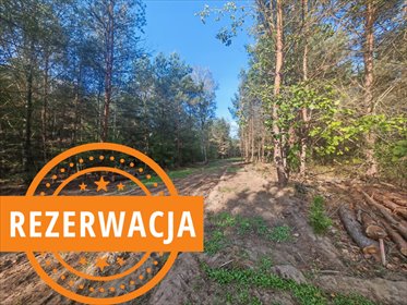 działka na sprzedaż 1617m2 działka Dziekanów Polski
