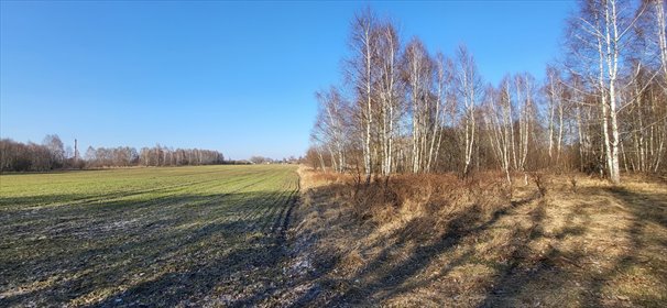 Inwestycyjna działka 24 594 m² z możliwością podziału. działka Zduńska Wola, Łaska