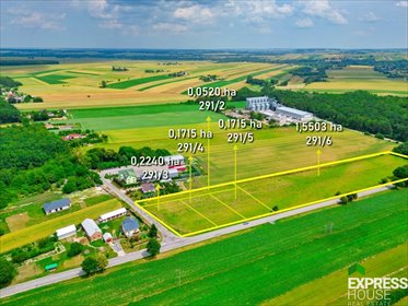 działka na sprzedaż 21693m2 działka Pawłów