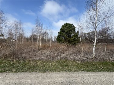 działka na sprzedaż 1000m2 działka Sułkowice, Jeżynowa