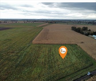 działka na sprzedaż 4300m2 działka Ścinawa Polska