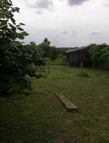 Działka budowlana na sprzedaż Ciosowa, Ciosowa 1 950m2 Foto 3