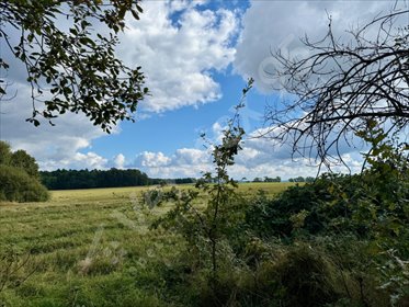 Polecam działkę 14 600 m² z widokiem na góry i dużym potencjałem działka Giebułtów, Augustów