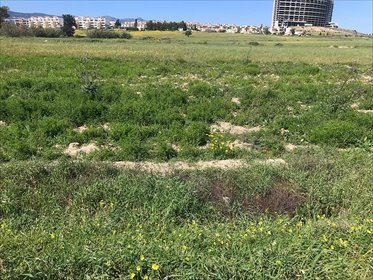 działka na sprzedaż 0m2 działka Yarköy, Yarköy, İskele, Cypr Północny