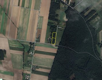 działka na sprzedaż 9000m2 działka Borszewice Kościelne