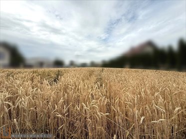 działka na sprzedaż 1950m2 działka Dziekanowice