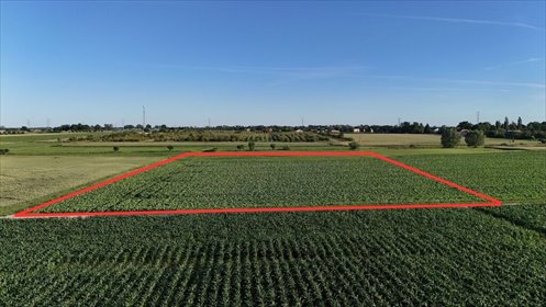 Sprzedam działkę z zatwierdzonym projektem pod inwestycję działka Rokietnica, Polna