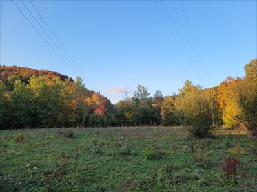 działka na sprzedaż 2500m2 działka Sękowa, Ropica Górna