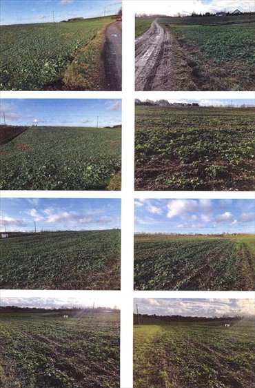 działka na sprzedaż 4900m2 działka Bisztynek-Kolonia