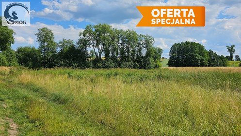 działka na sprzedaż 2700m2 działka Czułówek