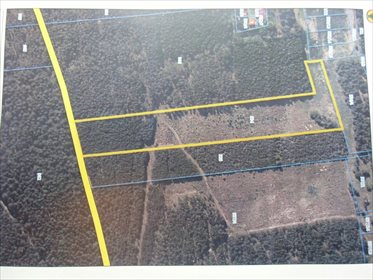 działka na sprzedaż 19200m2 działka Konarzyny