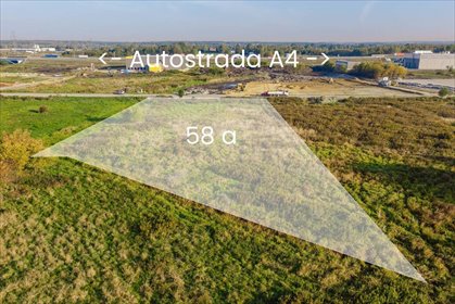 Zapraszam do inwestycji w działkę 5839 m² w Rogoźnicy działka Rogoźnica