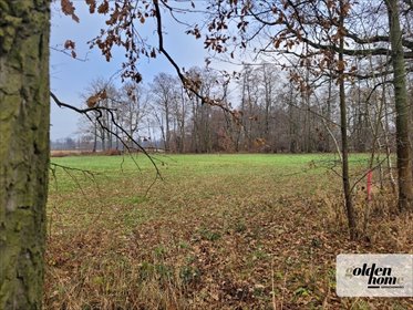 działka na sprzedaż 5000m2 działka Kąkolewo, Albertowsko