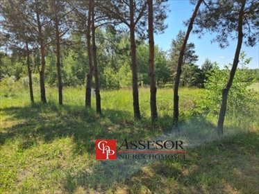 działka na sprzedaż 6800m2 działka Krzyżówki