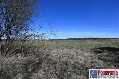 Na sprzedaż działka rolna 13 579 m² w Buku z potencjałem inwestycyjnym działka Buk