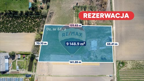działka na sprzedaż 9157m2 działka Radosław