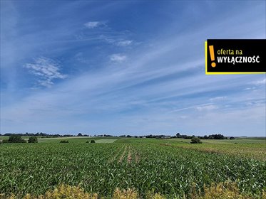 Działka 1571 m² z warunkami zabudowy w Sielcu działka Sielec