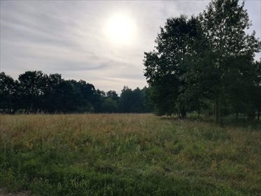 Działka rolna na sprzedaż Kosewo, Nasielsk 2 000m2 Foto 4