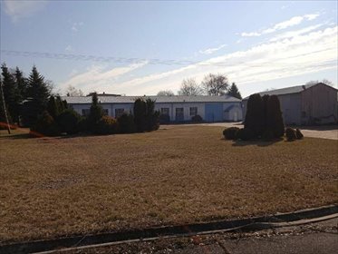 lokal użytkowy na sprzedaż 4703m2 lokal użytkowy Lelice