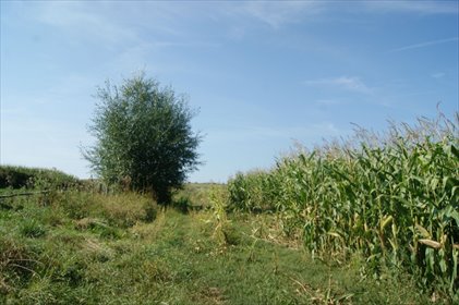 działka na sprzedaż 1000m2 działka Stare Bogaczowice