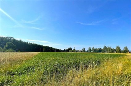 działka na sprzedaż 2273m2 działka Haczów