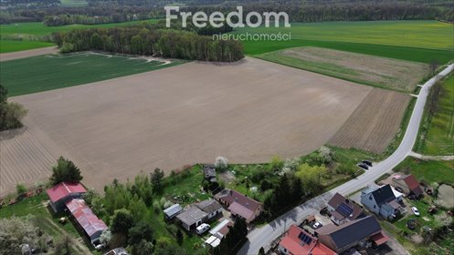 Działka budowlana na sprzedaż Strzegów 21 000m2 Foto 2