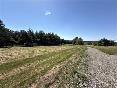 Zapraszam do zakupu działki 611 m² w Sączowie działka Sączów, Wolności