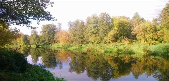 działka na sprzedaż 4828m2 działka Popielżyn-Zawady