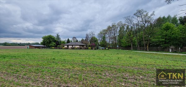 Działka 1349 m² w Niemieryczewie - lasy i rekreacja działka Niemieryczew, Niemieryczew