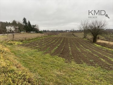 działka na sprzedaż 3300m2 działka Kazimierz Dolny, Góry Pierwsze