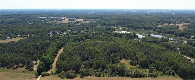 Na sprzedaż działka 10 369 m² z możliwością budowy w Gójszczu działka Gójszcz, Akacjowa