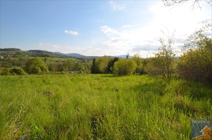 Sprzedam dużą działkę 88x32 m w Limanowej z dostępem do asfaltu działka Limanowa