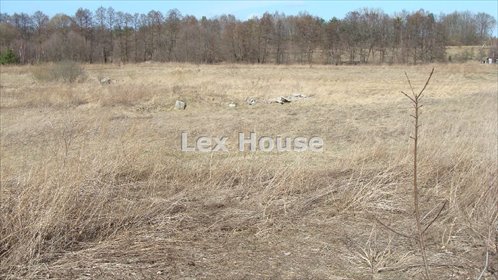 działka na sprzedaż 14300m2 działka Goleniów